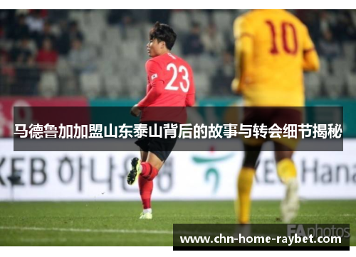 马德鲁加加盟山东泰山背后的故事与转会细节揭秘 马德鲁加加盟山东泰山背后的故事与转会细节揭秘