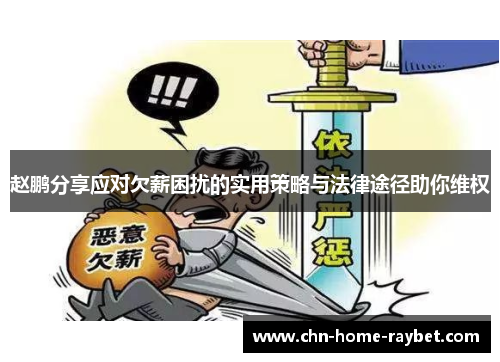 赵鹏分享应对欠薪困扰的实用策略与法律途径助你维权