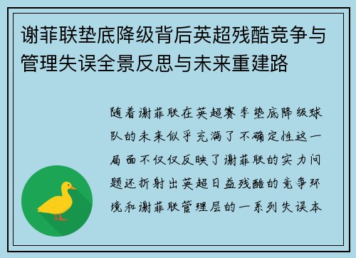 谢菲联垫底降级背后英超残酷竞争与管理失误全景反思与未来重建路