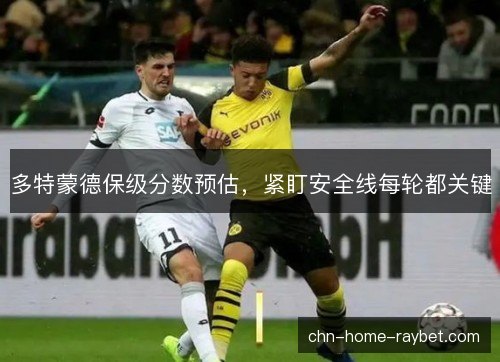 多特蒙德保级分数预估，紧盯安全线每轮都关键